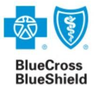Blue Cross Blue Shield